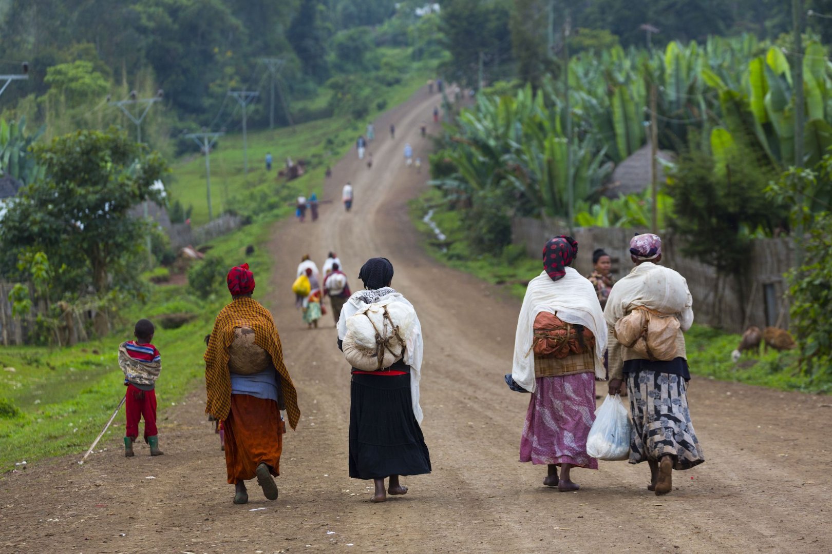 Credit: JUAN CARLOS MUNOZ a photo of the back of women walking down a dirt road surrounded by green fields and farm