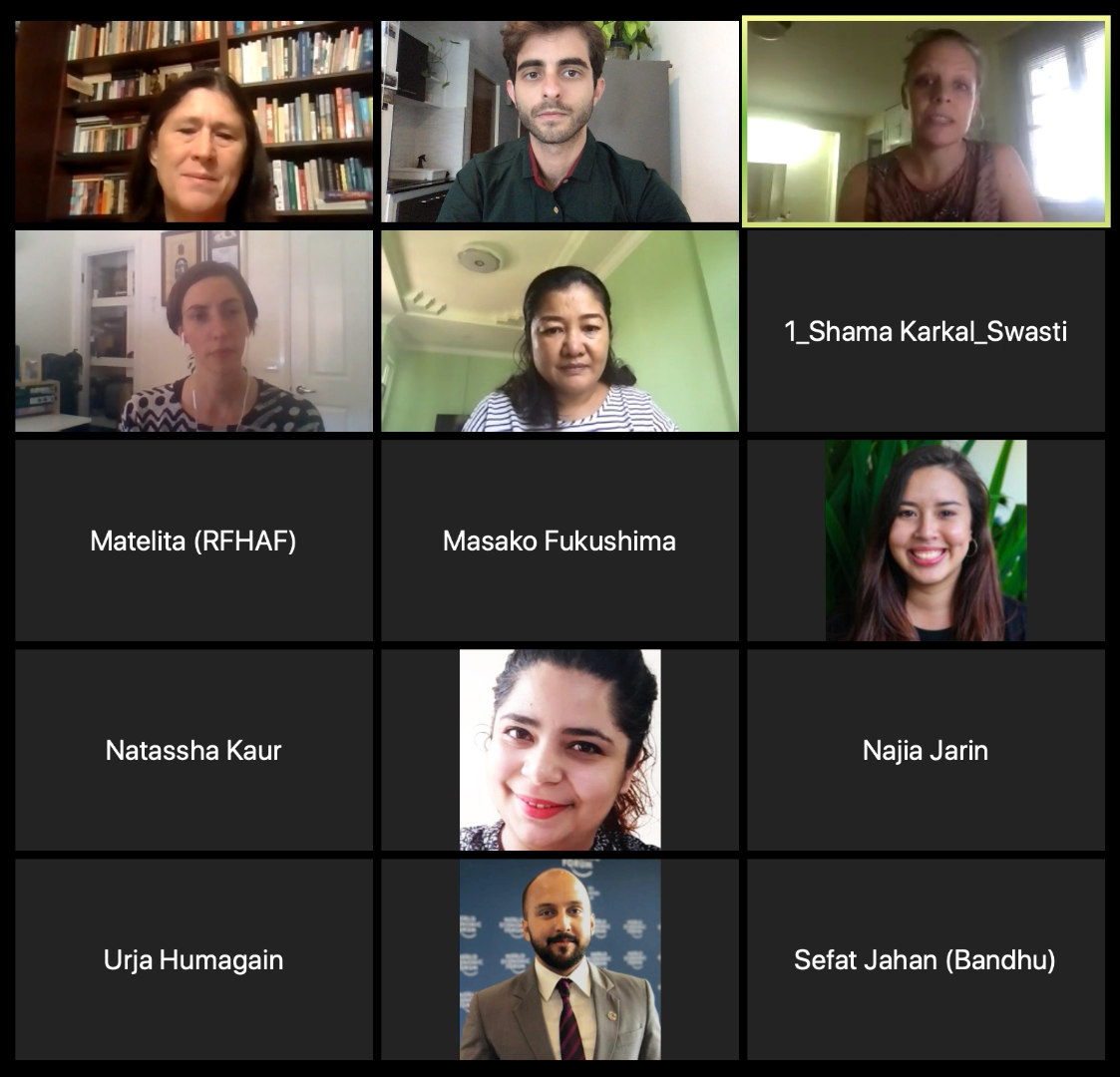 APA Feminist Leadership Webinar Series participants 